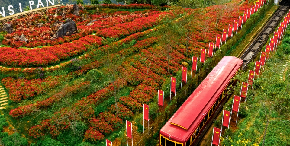 Những địa điểm chụp ảnh mùa thu tuyệt vời ở Việt Nam