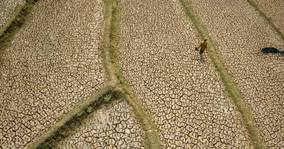 Đông Nam Á trước El Niño tăng cường: Thử thách sinh tử về nước, lương thực và điện