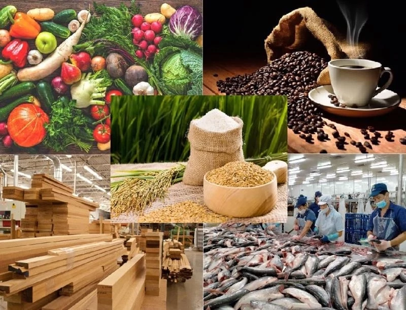 Xuất khẩu nông, lâm, thủy sản tăng tốc trước hàng rào an toàn