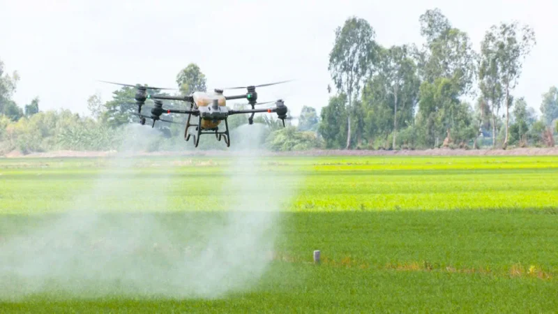 Drone phun thuốc lúa: Bước ngoặt canh tác thông minh ở Cần Thơ