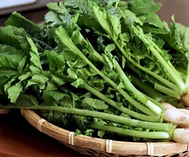 Cải ngồng, cải bó xôi, lá củ cải hay cải ngọt: nên mua loại nào để tối ưu chất xơ và vitamin?