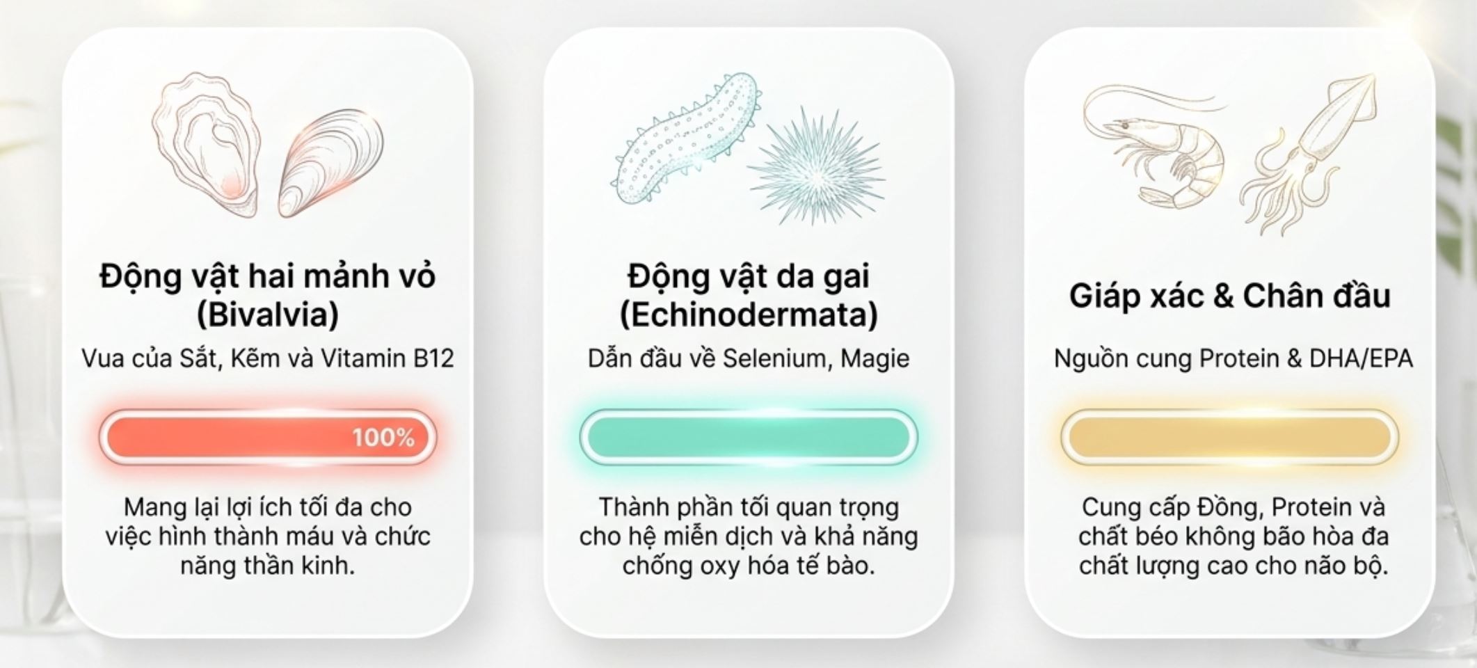 Tôm chứa dinh dưỡng lớn hơn so với cân nặng: Cách chọn và ăn đúng
