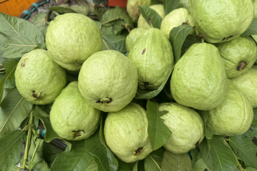 Nỗi sợ ‘làm phiền con’ đang khiến bệnh tật ở người cao tuổi trở nặng