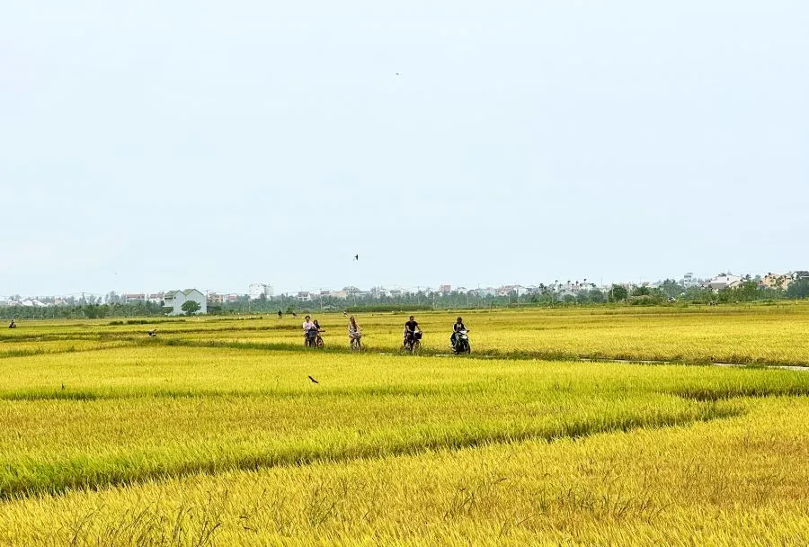 Những điểm chụp ảnh thành phố đẹp nhất mùa thu