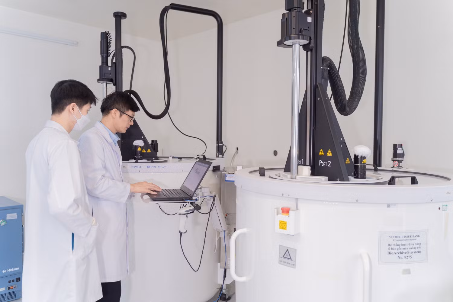 Tế bào gốc mở ra hy vọng mới cho bệnh nhân xơ gan