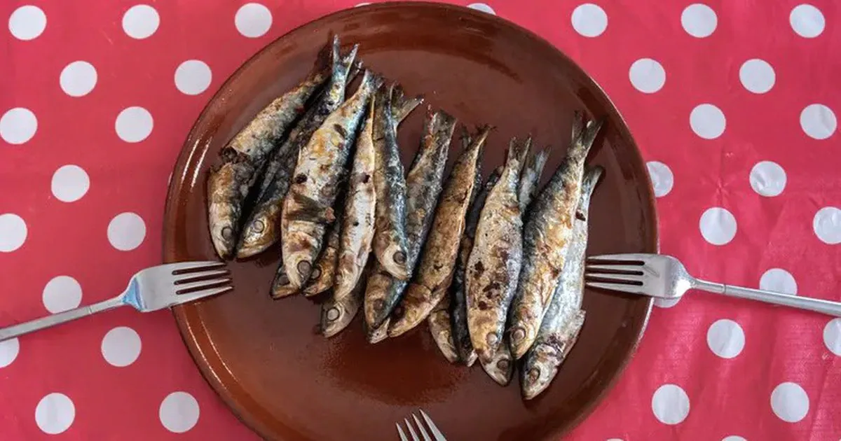 Cá cơm – lựa chọn cá giàu omega-3 tốt hơn cá hồi
