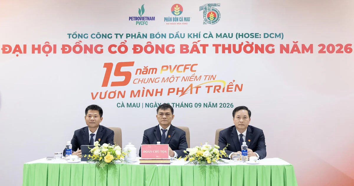 PVCFC phê duyệt chiến lược 2050: bước ngoặt cho năng lượng và phân bón