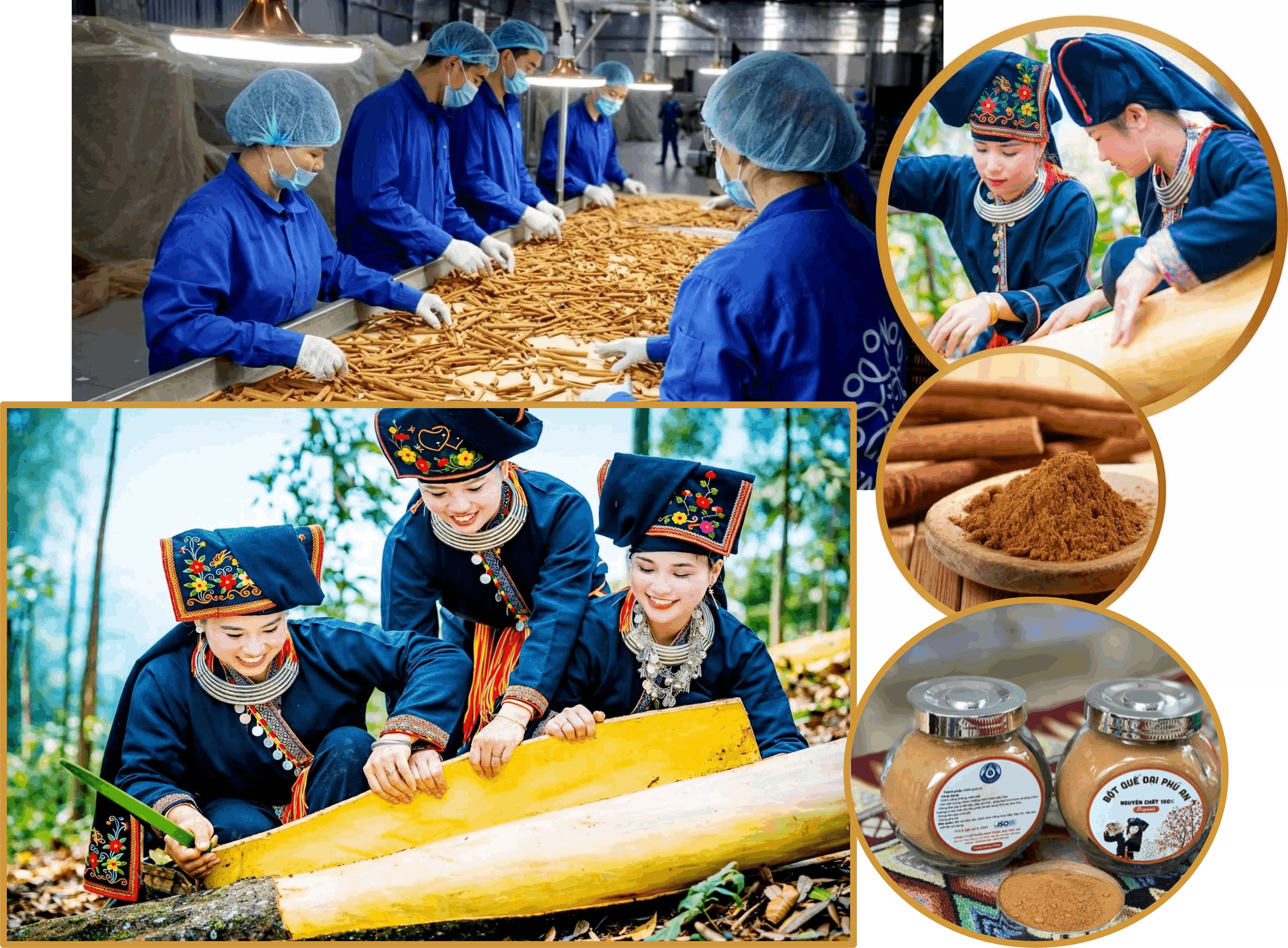 Lào Cai hướng tới FDI chọn lọc: từ lượng sang chất