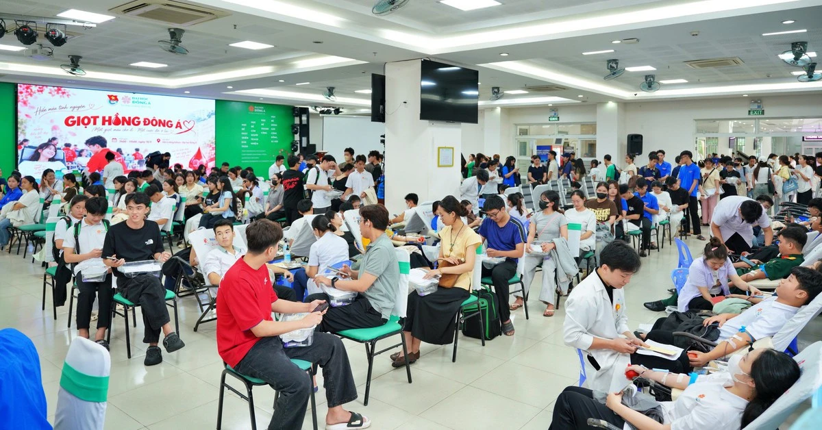 Hỗ trợ 100% bảo hiểm y tế cho bệnh nhân thận mạn và người hiến máu: Cơ hội không nên bỏ lỡ