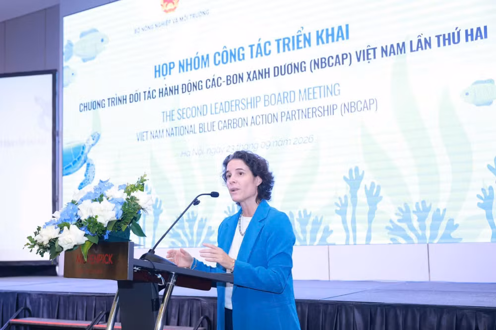 Năm nhóm hành động carbon xanh dương và cơ hội đổi mới ven biển