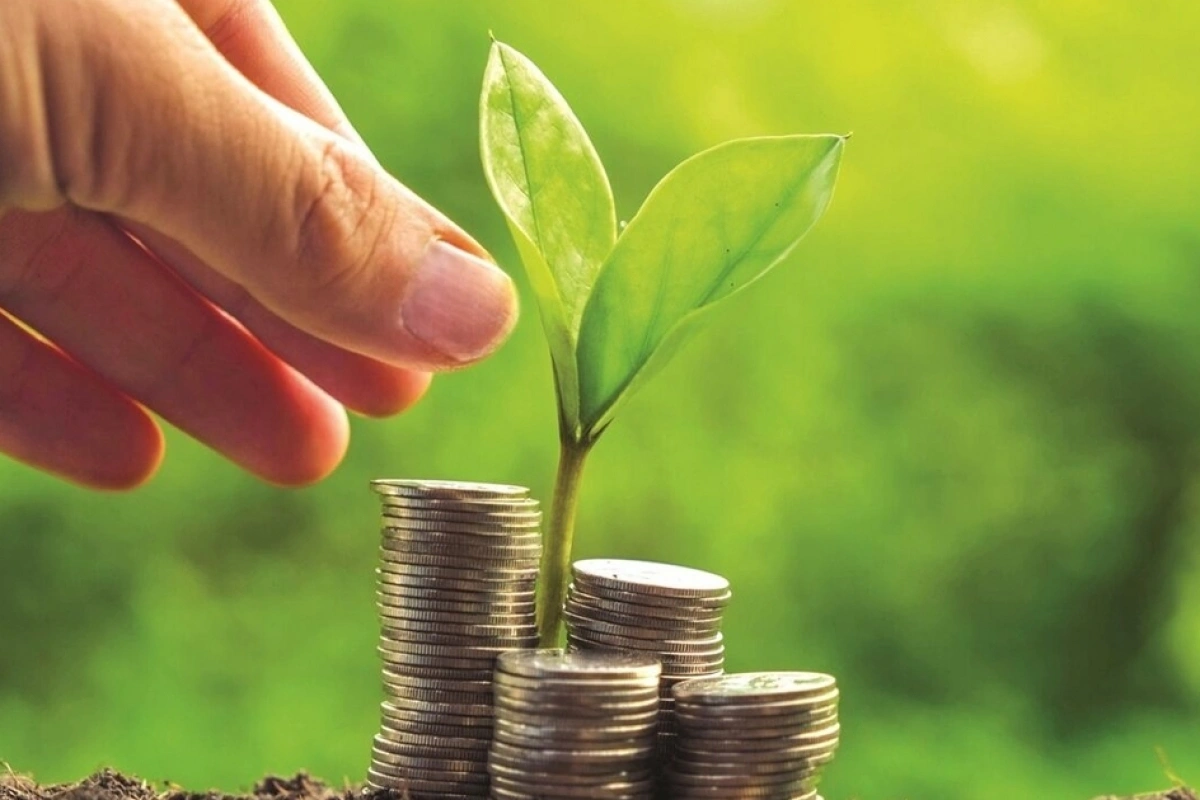 Trái phiếu xanh: Quy mô co lại, chất lượng đi lên