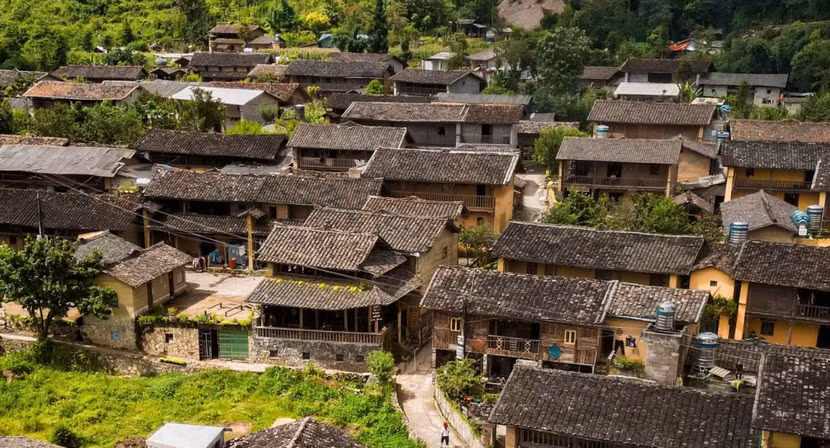 Làng rau Trà Quế và những điểm đến tạo sinh kế bền vững