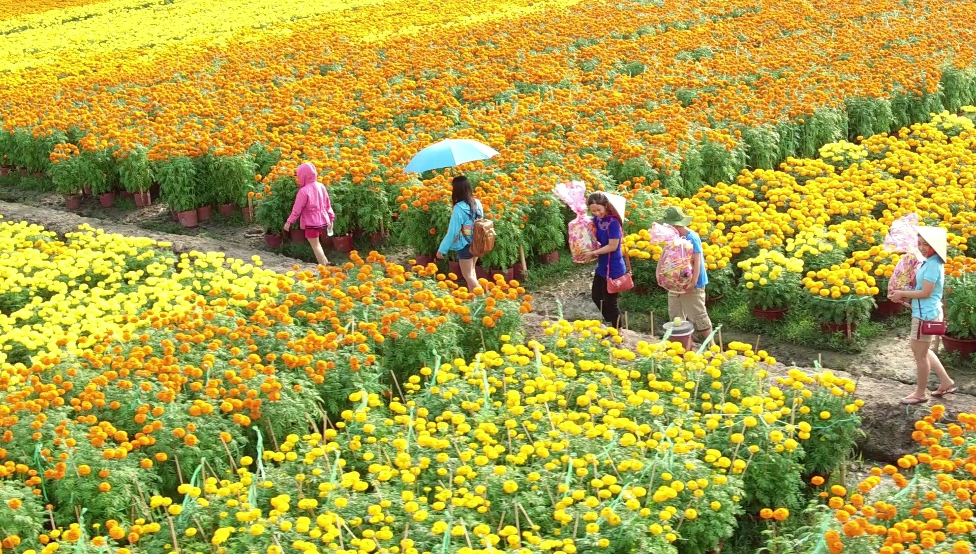 Du lịch tạo sinh kế: ngân sách thấp vẫn nuôi được cộng đồng