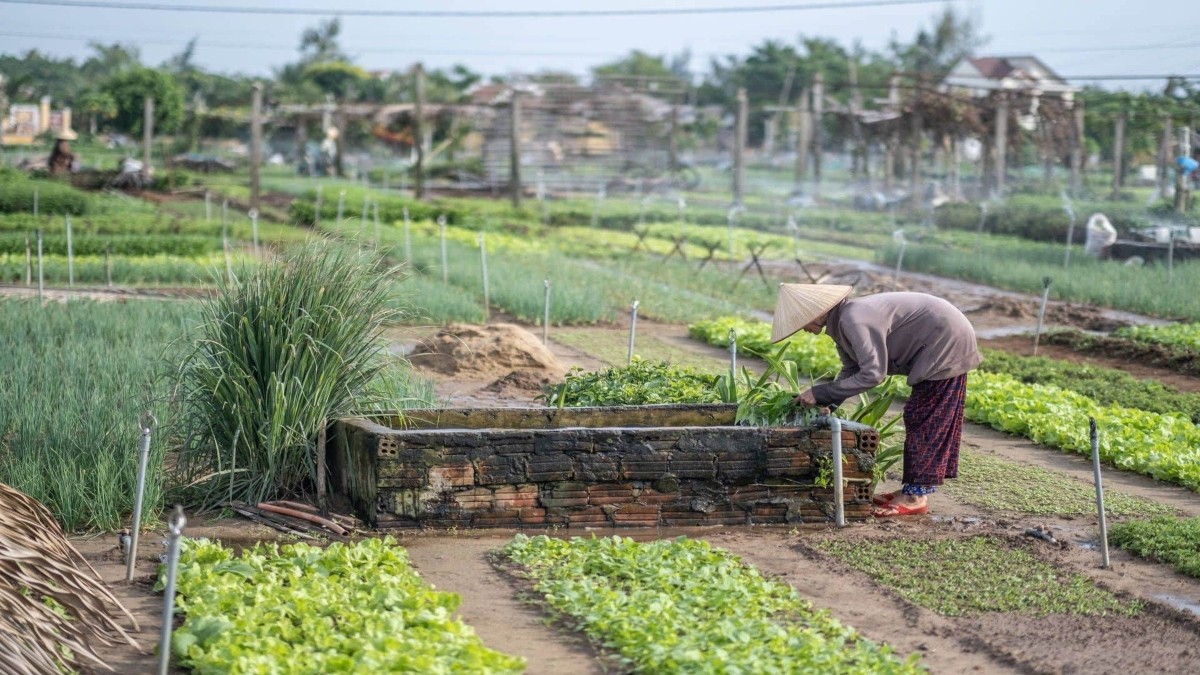 Du lịch tạo sinh kế: ngân sách thấp vẫn nuôi được cộng đồng
