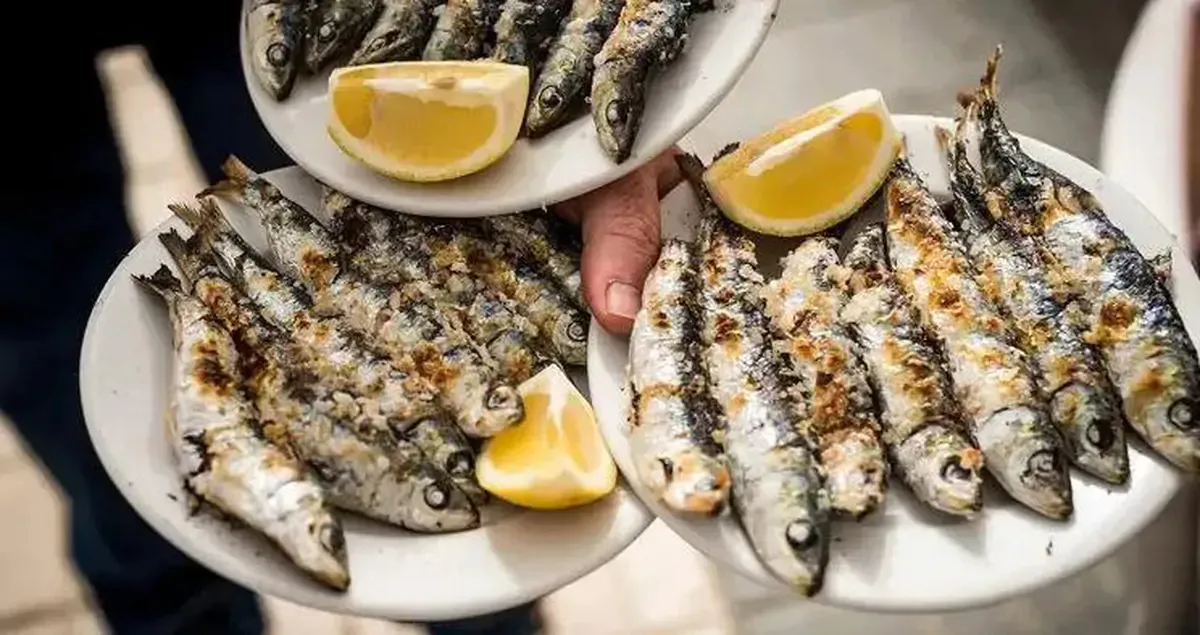 Cá mòi: lựa chọn omega-3 rẻ hơn nhưng mạnh hơn cá hồi