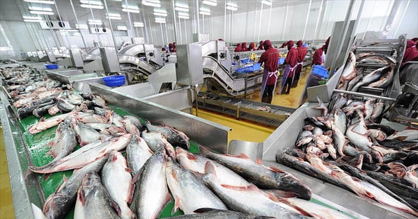 Tôm và cá tra tăng tốc xuất khẩu: Thị trường nào dẫn dắt?