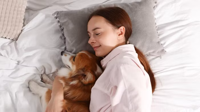 Ngủ cùng thú cưng: thân mật hay đánh đổi giấc ngủ?