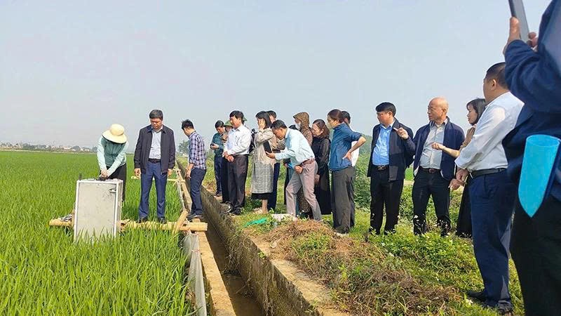 Thị trường carbon Việt Nam: Từ chính sách đến ruộng đồng và nhà máy