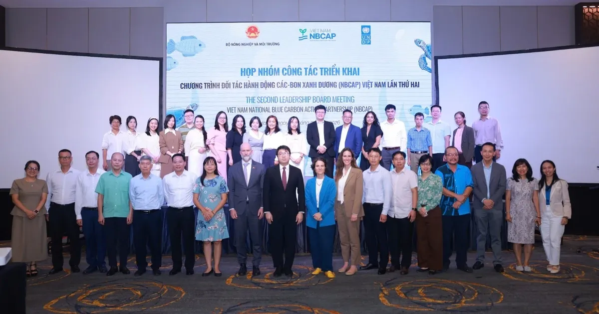 Năm nhóm hành động carbon xanh dương và cơ hội đổi mới ven biển