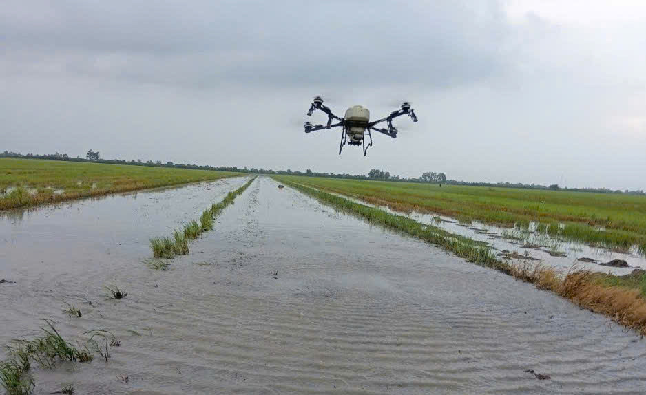 Drone phun thuốc lúa: Bước ngoặt canh tác thông minh ở Cần Thơ