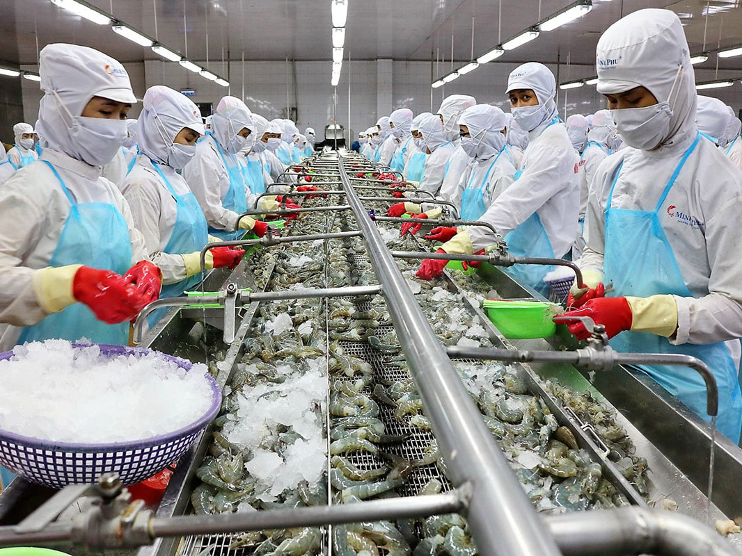 Thủy sản Việt Nam chinh phục thị trường Canada với tôm và cá tra