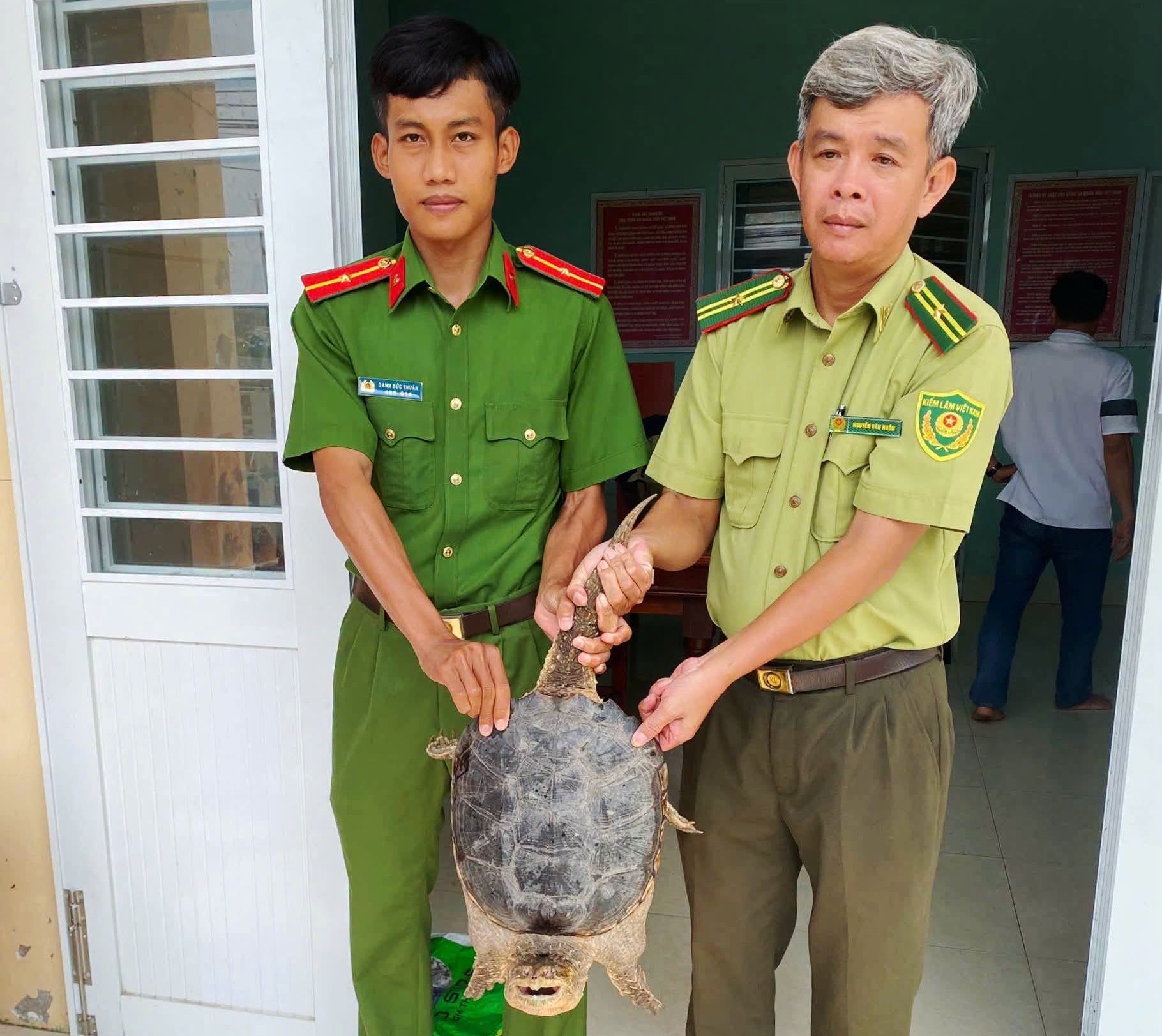 Mạng lưới giao nộp động vật hoang dã tự nguyện đang định hình tương lai bảo tồn
