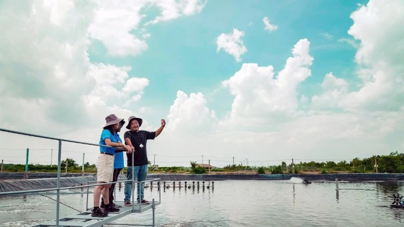 AI, cảm biến và dữ liệu: cuộc đổi mới nông nghiệp ở Mekong
