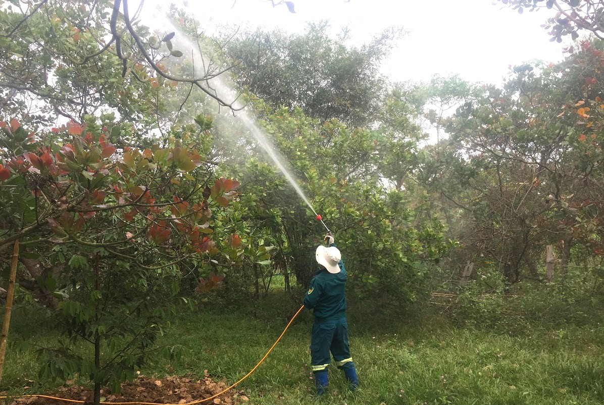 Từ đặc sản làng quê đến thương hiệu OCOP 4 sao