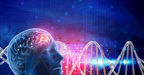 Vi protein và bản đồ gene não: bước ngoặt hy vọng cho bệnh Alzheimer