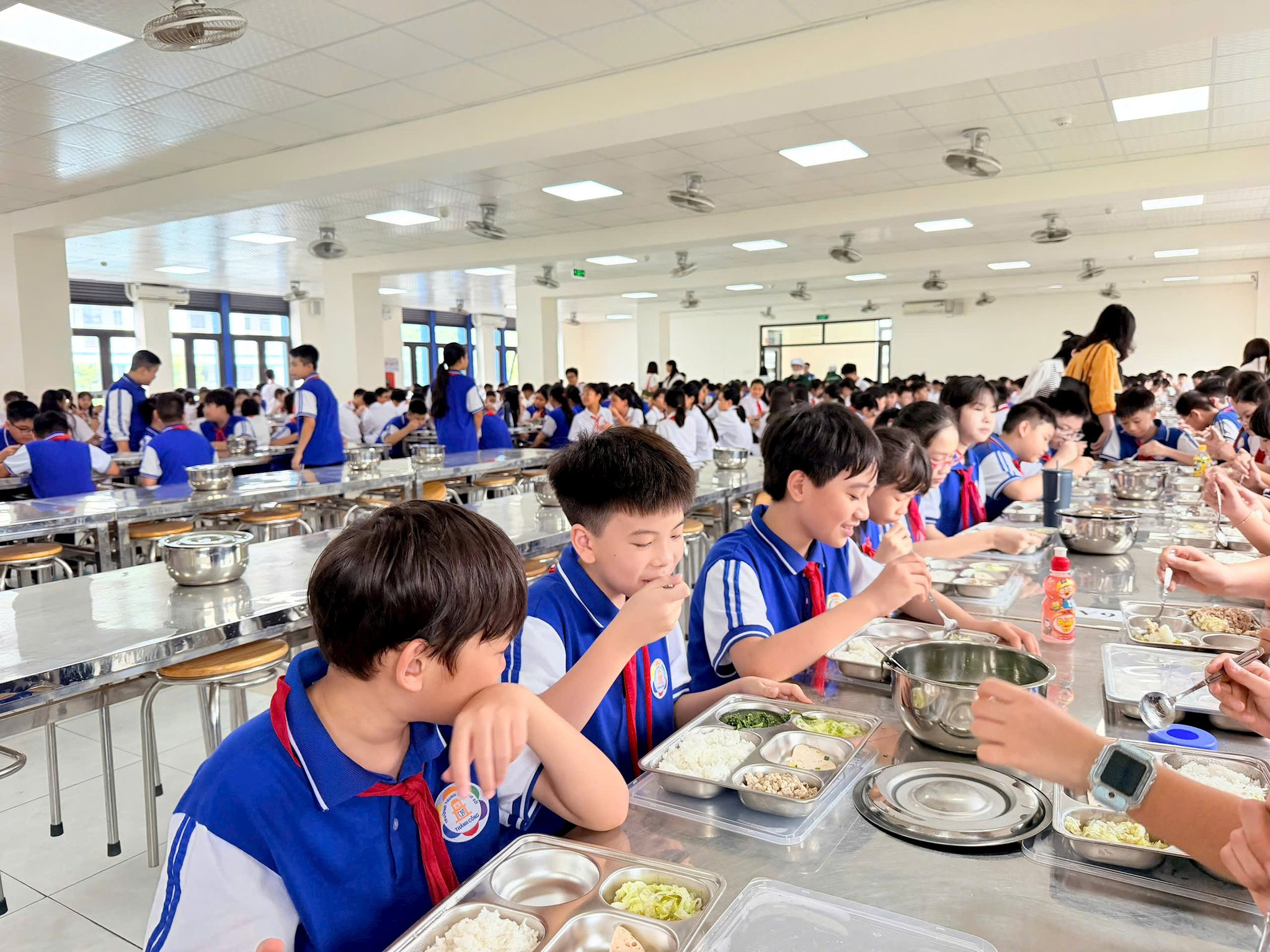 Từ trang trại đến suất ăn: Dữ liệu số bảo vệ bữa ăn học đường