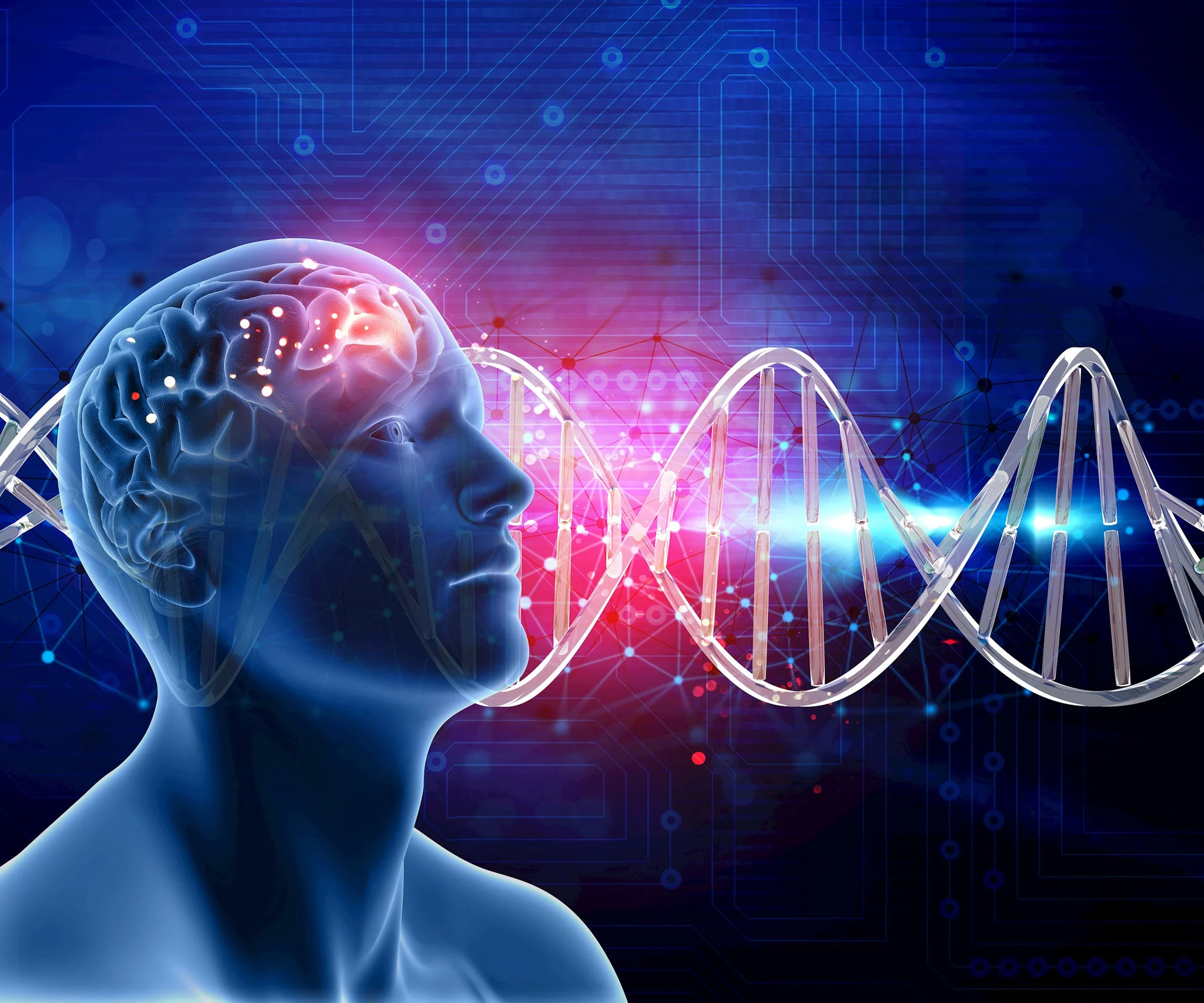 Vi protein và bản đồ gene não: bước ngoặt hy vọng cho bệnh Alzheimer