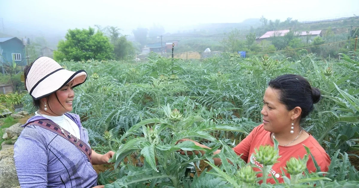 Công nghệ từ nông trại đến bàn tay người tiêu dùng