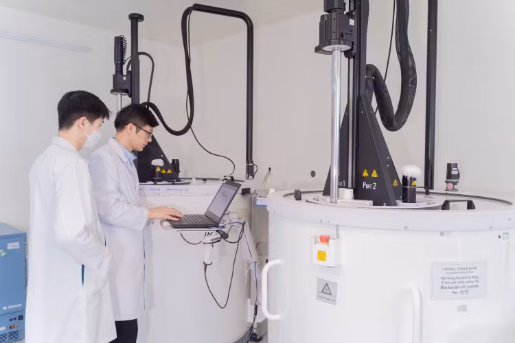 Tế bào gốc lưu trữ suốt đời và cuộc cách mạng y học tái tạo