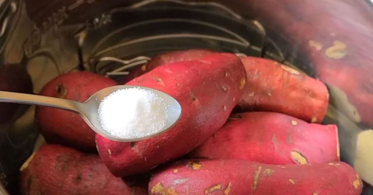 Luộc khoai lang ngon bở ngọt không cần đường