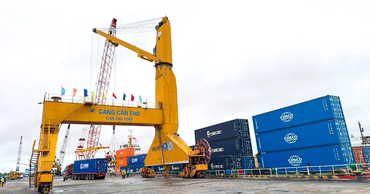 Tuyến container trực tiếp Nam Ninh – Cần Thơ: cú hích logistics cho Mekong