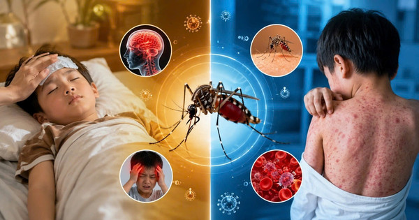 Mùa tựu trường: Hướng dẫn phòng viêm não Nhật Bản cho trẻ
