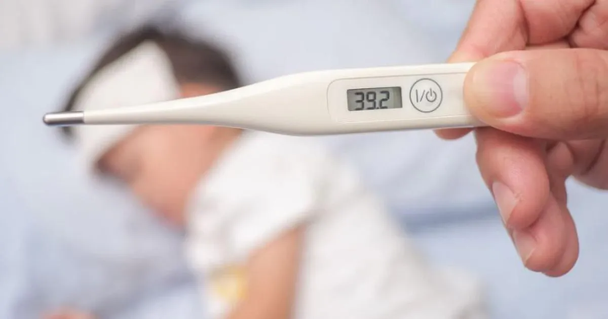 Mùa tựu trường: Hướng dẫn phòng viêm não Nhật Bản cho trẻ