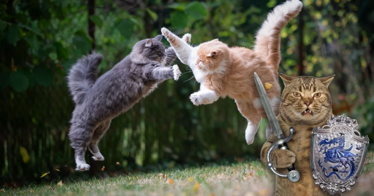 Cách chọn tựa game di động đầu tiên cho người mới