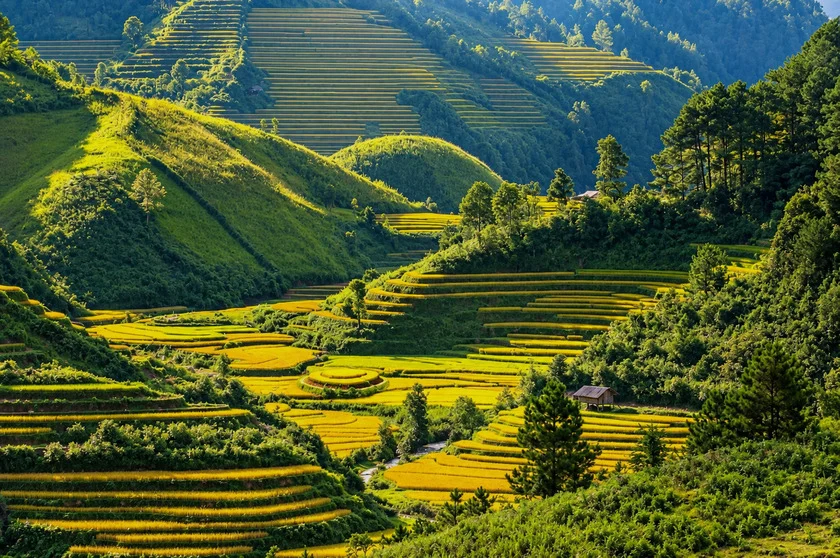 Lịch du lịch Việt Nam theo mùa: Đi đâu tháng nào để không lỡ cảnh đẹp?