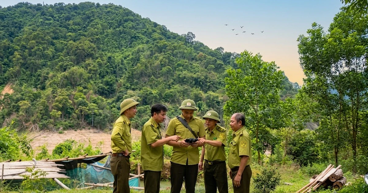 Drone giám sát rừng: Cuộc cách mạng bảo vệ lâm nghiệp thời gian thực