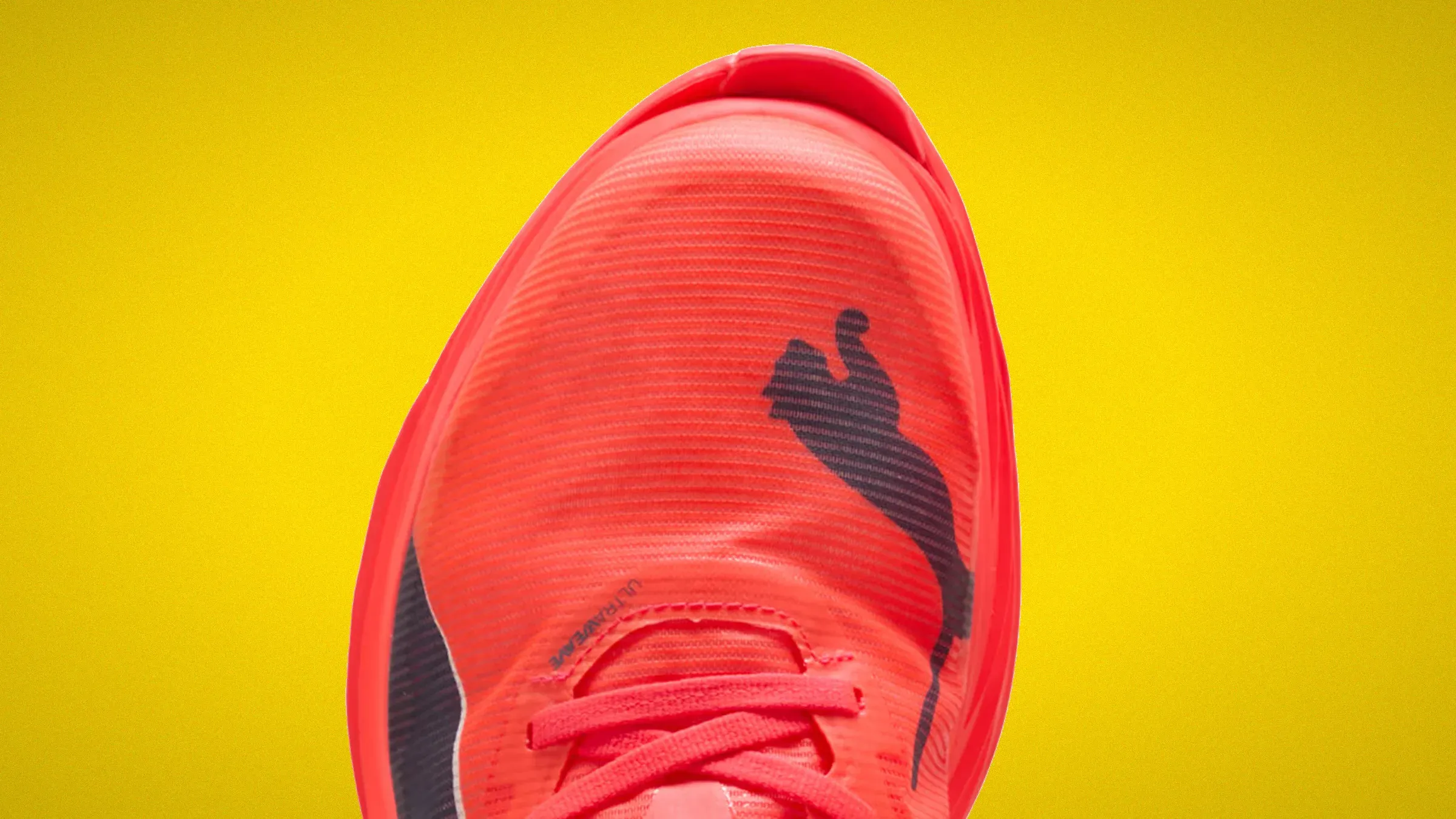 Giày chạy marathon tinh hoa: Nike, Adidas, Hoka hay Puma?