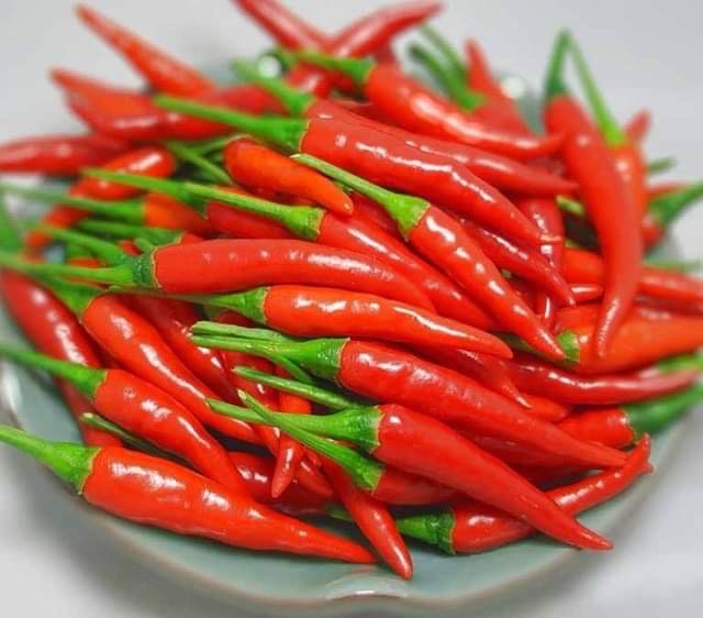 Giữ gừng, ớt tươi cả tháng mà không héo quắt: bí quyết từ căn bếp Việt