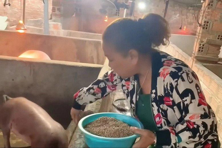 Từ vỡ nợ đến nuôi heo ở quê: cú tái sinh của Siu Black
