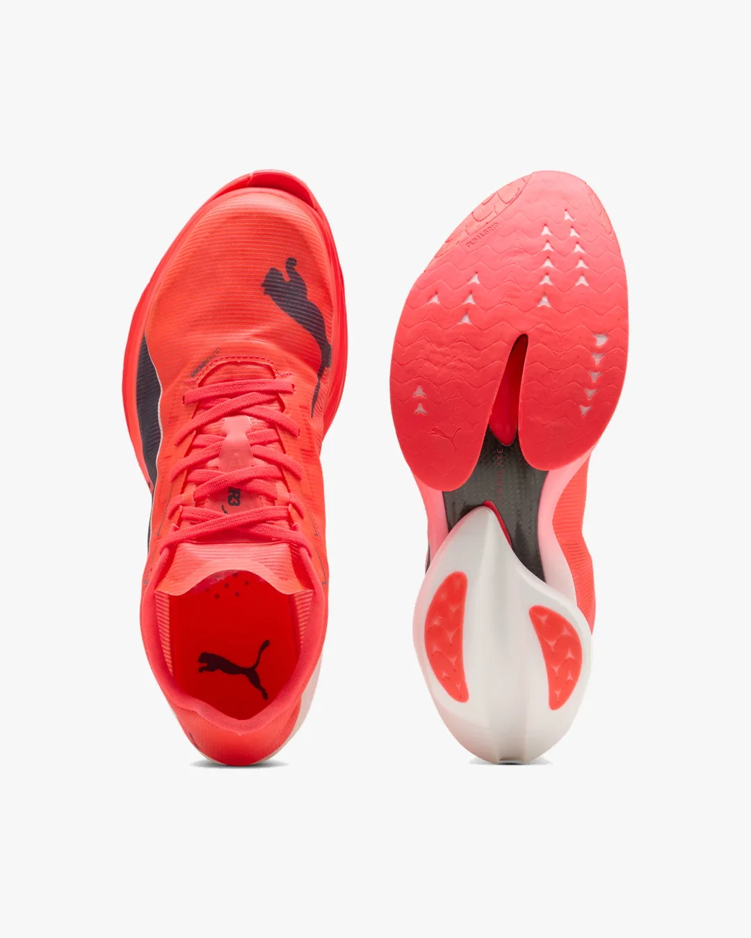 Giày chạy marathon tinh hoa: Nike, Adidas, Hoka hay Puma?