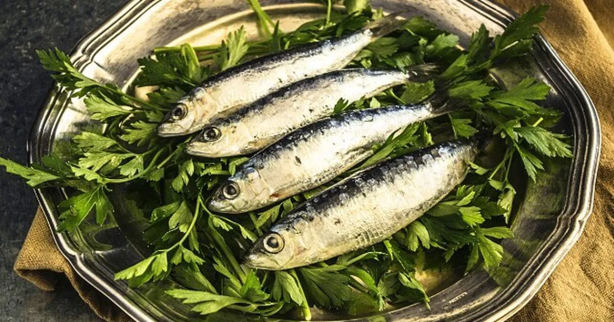 Cá giàu omega-3 rẻ bèo: Thay thế cá hồi cho bữa cơm Việt