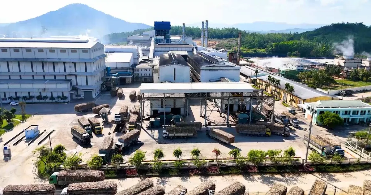 Chuyển sang xăng E10: Điều chỉnh bảo dưỡng xe không thể bỏ qua