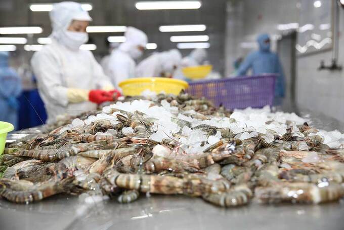 Xuất khẩu thủy sản Việt Nam đối mặt áp lực kép từ thị trường Mỹ