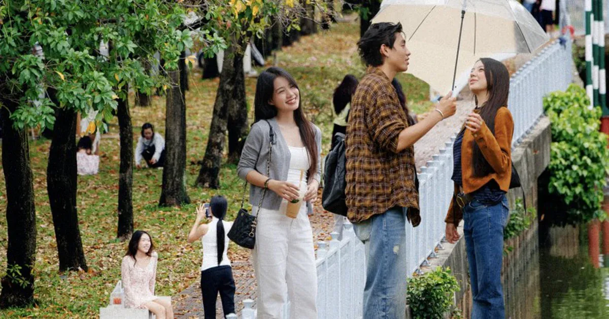 Săn lá vàng mùa thu hiếm có ở kênh Nhiêu Lộc - Thị Nghè