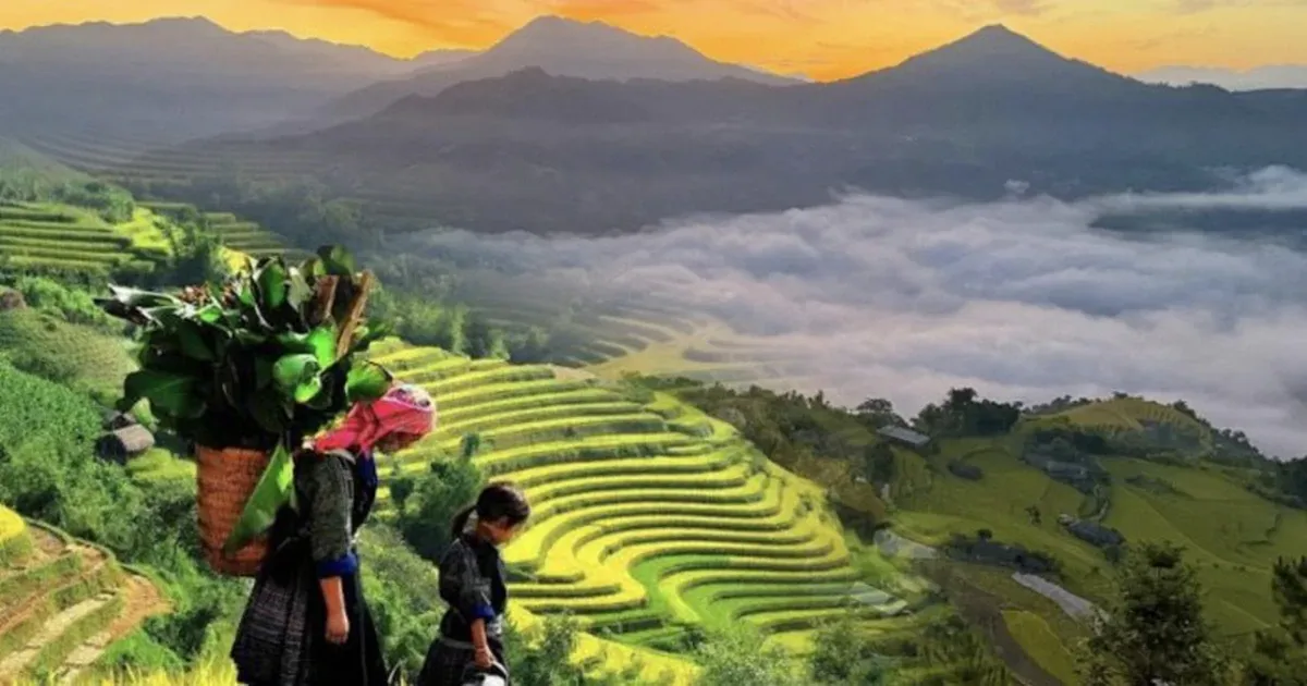 Mù Cang Chải bùng nổ: ruộng bậc thang kéo khách, hạ tầng chạy theo