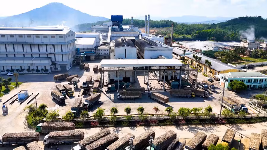 Chuyển sang xăng E10: Điều chỉnh bảo dưỡng xe không thể bỏ qua